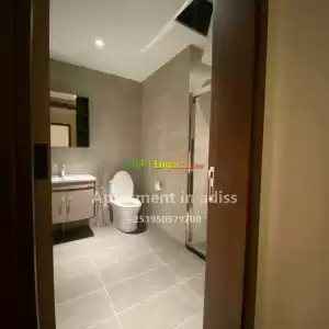 Amibara property Price in Ethiopia