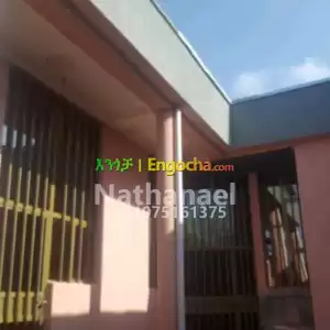 Houses and lands for sale in Bahirdar (ባህርዳር የሚሸጥ ቤት) in Ethiopia