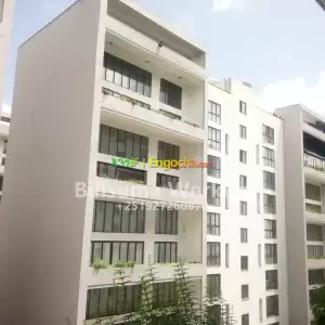 Living House and Shop Price in Ethiopia