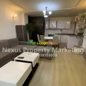 Megenagna-shola, Luxury Apartment For Sale .......140sqm Price in Ethiopia