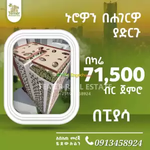 Temer Real Estate Apartment for sale Price in Ethiopia