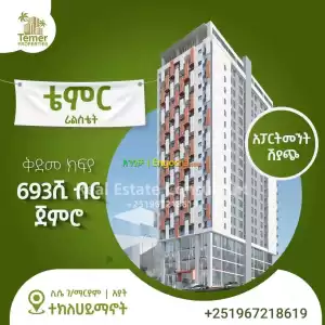 Temer Real Estate in Ethiopia