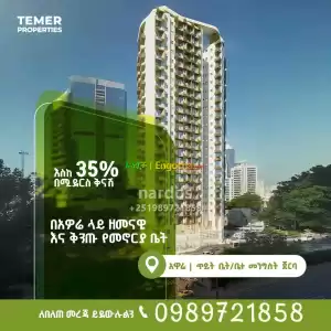 nardos temer property consultant in Ethiopia