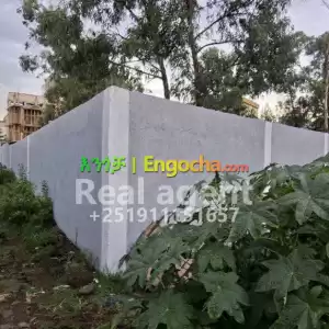 sell Price in Ethiopia