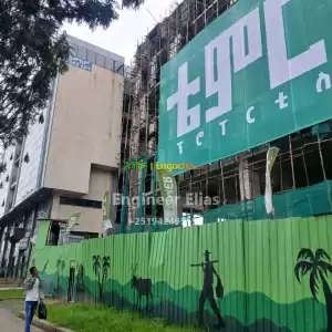temer property in Ethiopia
