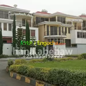 vill Price in Ethiopia