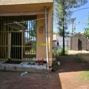 ለሽያጭ የቀረበ ቤትደራርቱ ተ/ቤት አከባቢ 150 ካሬ ሜትር ነባር ይዞታ ዲጂታል ካርታ ለቢዝነስ መሆን የሚችል ለመንገድ የቀረበ ስም ይዞራል  Price in Ethiopia