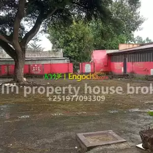 ሚሸጥ ት/ቤ /ermi in Ethiopia