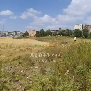 ሚሸጥ የሊዝ መሬት Price in Ethiopia