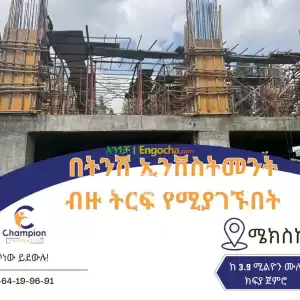 ሜክስኮ ላይ ምክንያታዊ በሆነ ዋጋ Price in Ethiopia