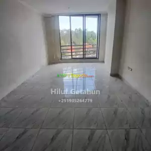 ቶሎ ያለመረከብ ችግርን ቀርፈናል Price in Ethiopia