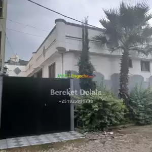 የሚሸጥ አስደማሚ ቤት in Ethiopia