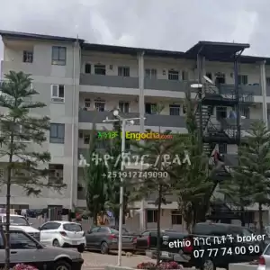 የሚሸጥ እስቲዲዮ ካሳንቺስ in Ethiopia