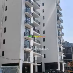 ይሄም ልያመልጦት ነዉ Price in Ethiopia