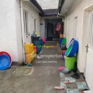 ገርጂ ሮባ Price in Ethiopia