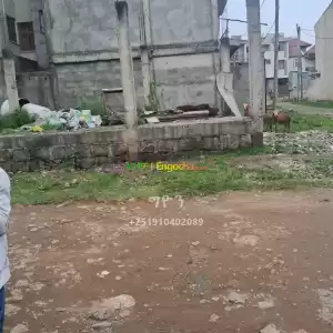 ጋርመንት Price in Ethiopia