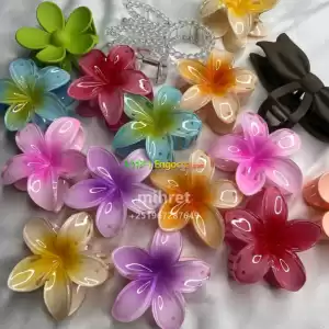 hair clipz in Ethiopia