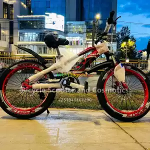 20inch Philiphs Bicycle Price in Ethiopia