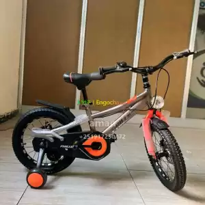 LUTA bicycles in Ethiopia