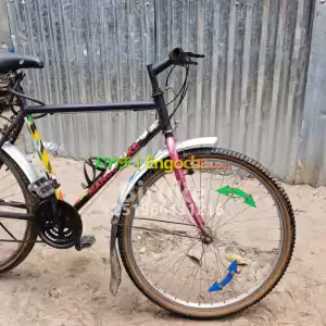 phoneix Price in Ethiopia