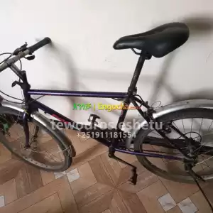 phonix bicycle Price in Ethiopia