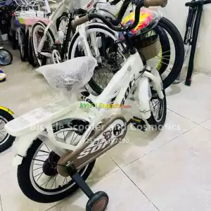 quality Bicycle Scooter Price in Ethiopia