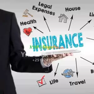 Insurance sales Agent-Yitbarek Price in Ethiopia