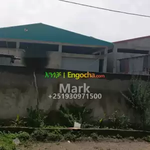 warehouse for rent in kaliti AA Price in Ethiopia