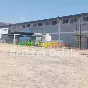 የሚከራይ መጋዘን Price in Ethiopia