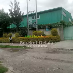 የሚሸጥ መጋዘን Price in Ethiopia