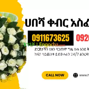 ሀበሻ ቀብር አስፈፃሚ Price in Ethiopia