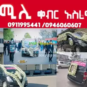 ቀብር አሰፈጻሚ Price in Ethiopia