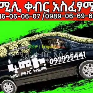 ቀብር አሰፈጻሚ አዲስአበባ ና ደብረዘይት Price in Ethiopia