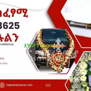 ቀብር አስፈፃሚ Price in Ethiopia