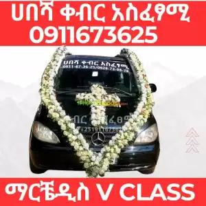 ቀብር አስፈፃሚ Price in Ethiopia