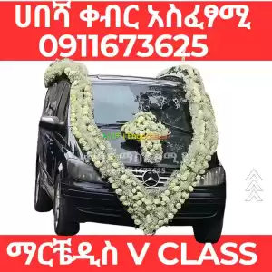 ቀብር አስፈፃሚ Price in Ethiopia