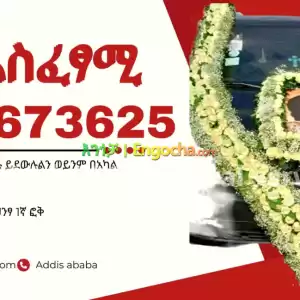 የቀብር አስፈፃሚ Price in Ethiopia