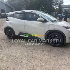 BYD SEAGULL EV 2023 Price in Ethiopia