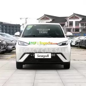 BYD SEAGULL in Ethiopia