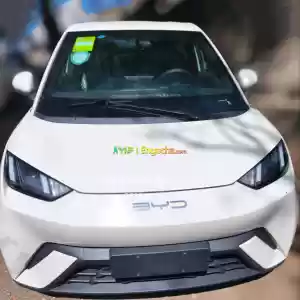 BYD SeagullYear:2024Engine:Full-ElecticFuel:Electricity305kmTransmission:AutomaticPlate N Price in Ethiopia