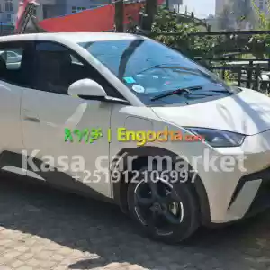 BYD SeagullYear:2024Engine:Full-ElecticFuel:Electricity405kmTransmission:AutomaticPlate N Price in Ethiopia