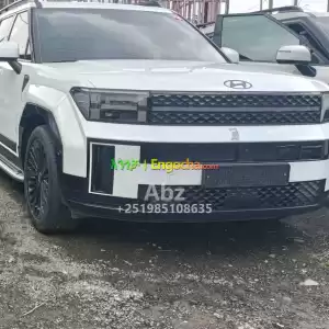 Brand New Hyundai Santafe Hybrid 2024/11 for sell Price in Ethiopia