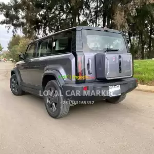 CHERY I CAR EQ3 2024...Only 6,000 km in Ethiopia