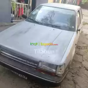 Carina ii in Ethiopia