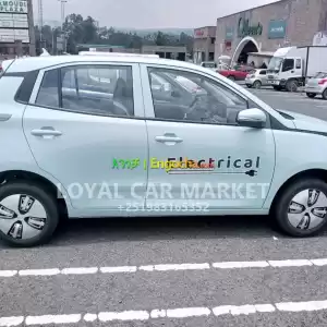 KAS AUTO ANNA200 2021...Only 8,000 km Driven Price in Ethiopia