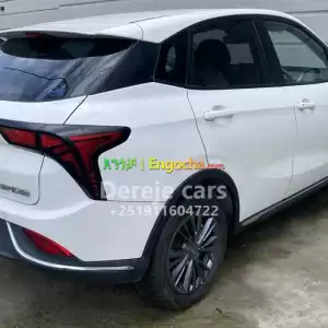 NETA AYA HOZON Price in Ethiopia