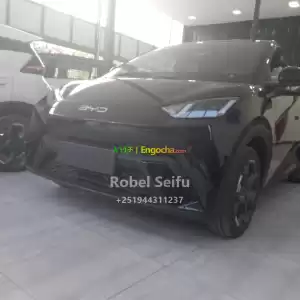 byd seagull Price in Ethiopia