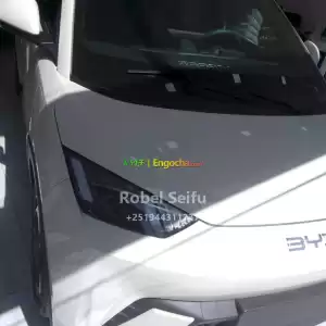 byd seagull Price in Ethiopia