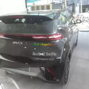 byd seagull Price in Ethiopia