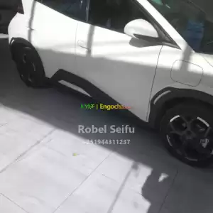 byd seagull Price in Ethiopia